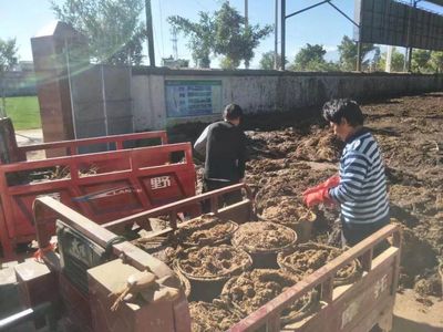 順豐洱海環保股份榮膺“云南省百戶優強民營企業”稱號，生物質能技術服務引領綠色新篇章