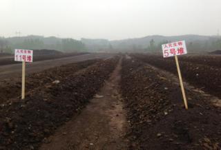 微生物肥料 綠色農(nóng)業(yè)的新引擎，生物質(zhì)能技術(shù)服務(wù)的市場價值